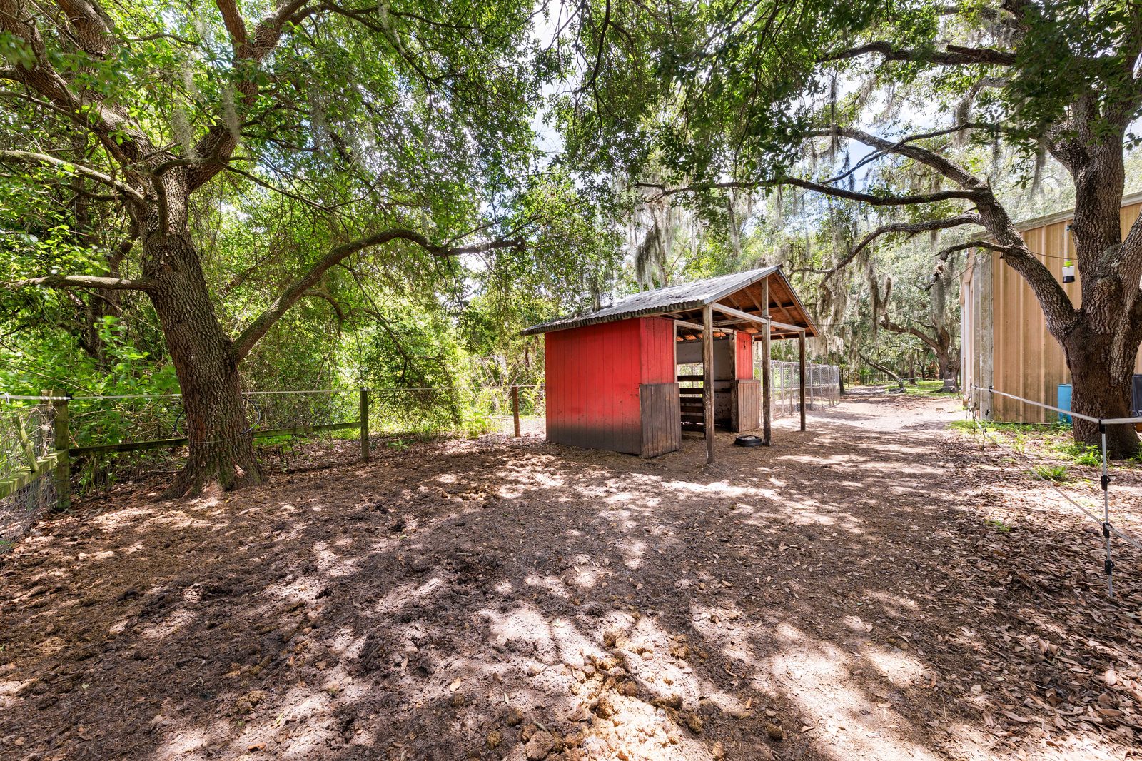 Chicken coop under the oaks