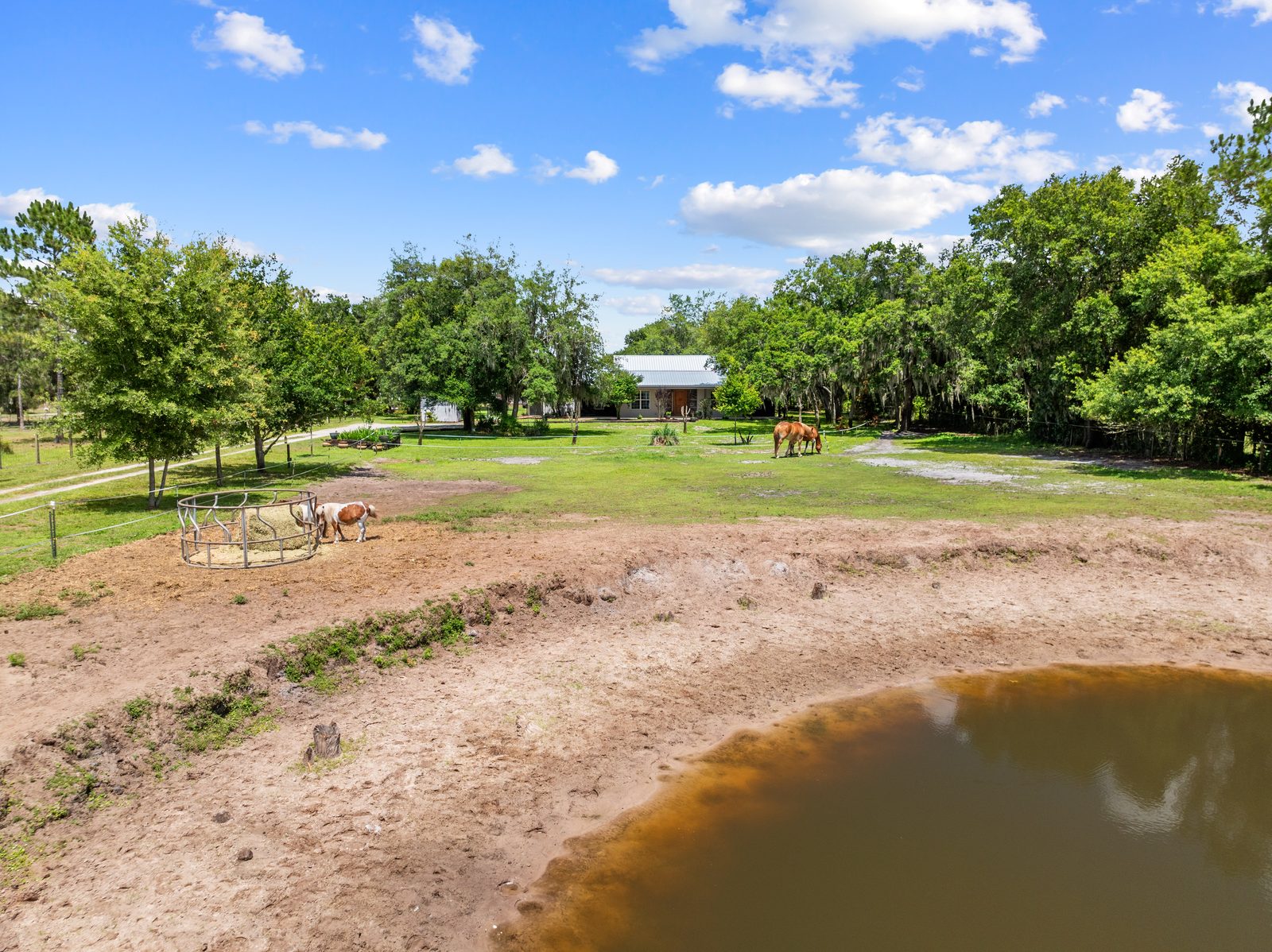 Pond on the property